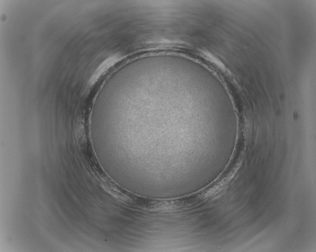 X0000078231259200611171425