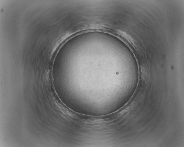 X0000078231260200611171425