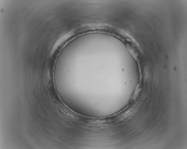 X0000078231261200611171425