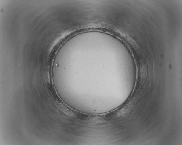 X0000078231262200611171425