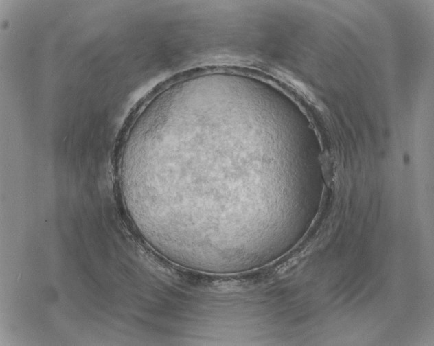 X0000078231264200611171425