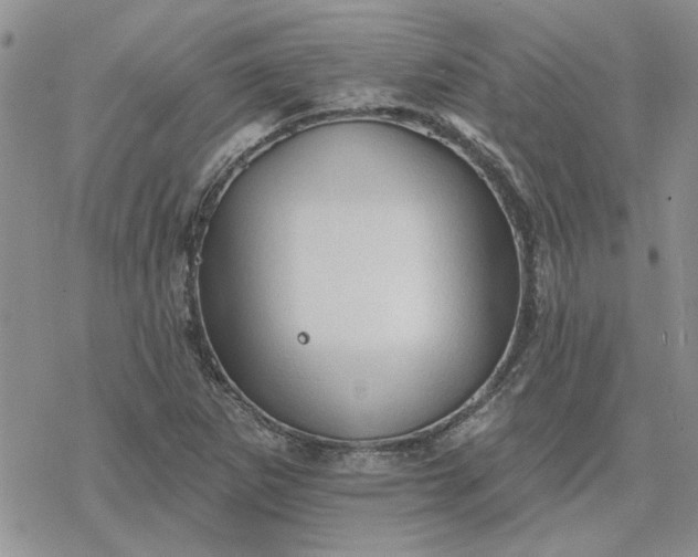 X0000078231265200611171425