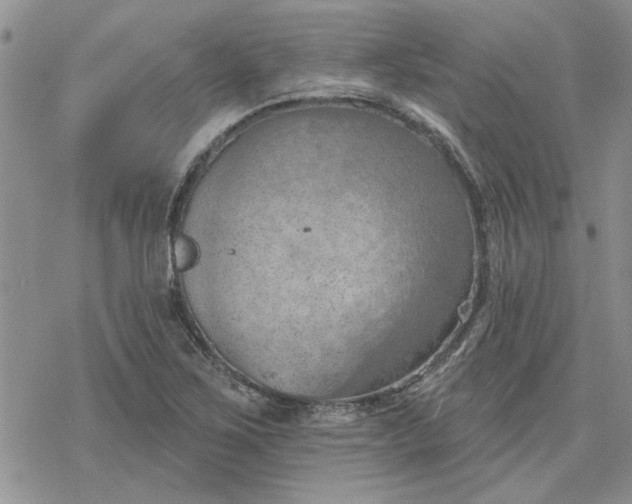 X0000078231267200611171425