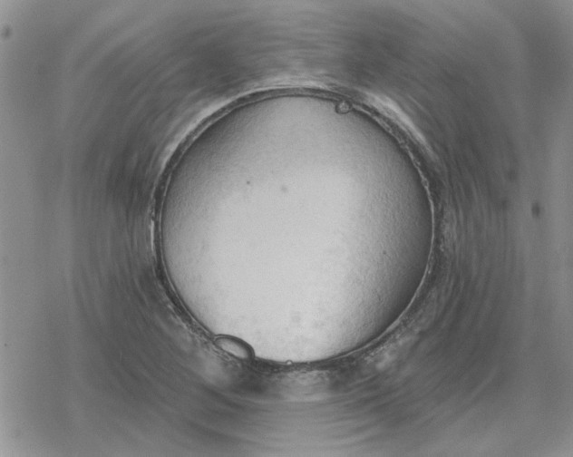 X0000078231268200611171425