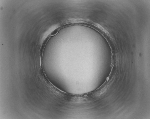 X0000078231269200611171425