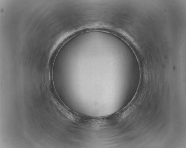 X0000078231270200611171425