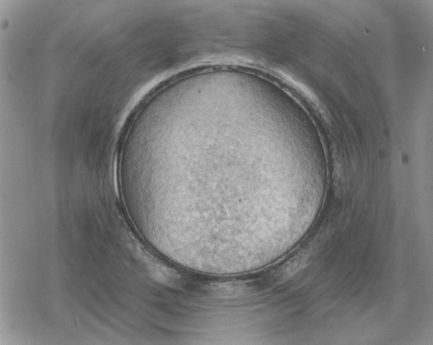 X0000078231272200611171425