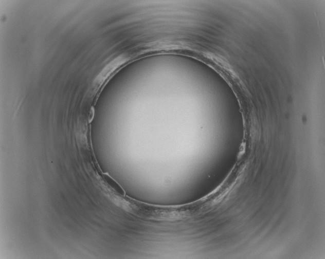 X0000078231273200611171424