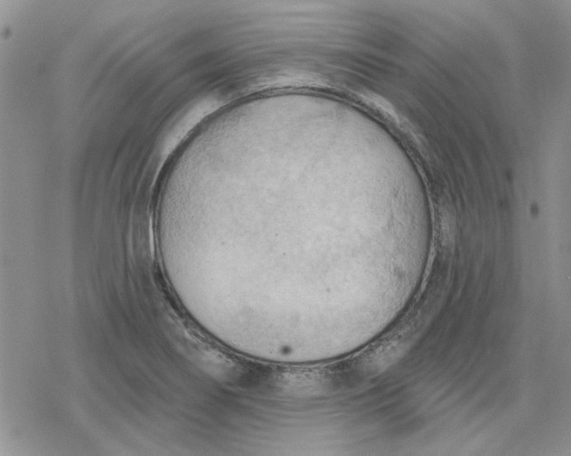 X0000078231274200611171424