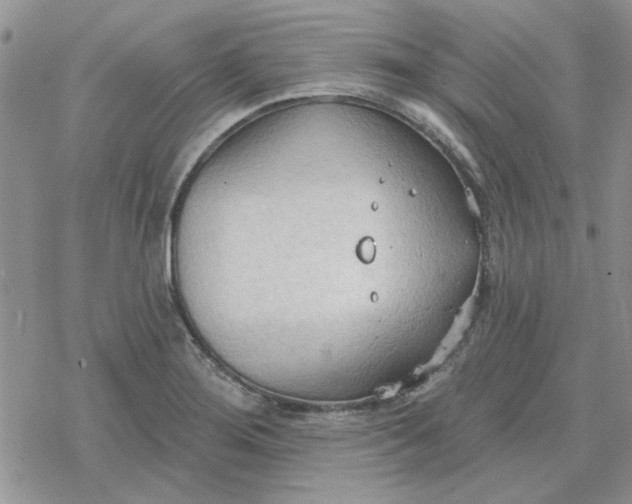 X0000078231276200611171424