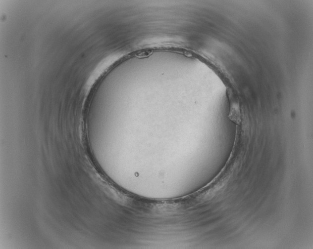 X0000078231277200611171424