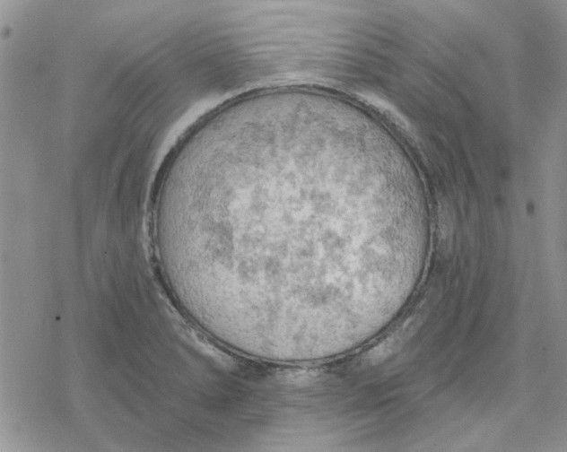 X0000078231278200611171424