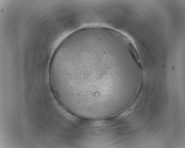 X0000078231279200611171424