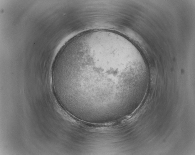 X0000078231280200611171424