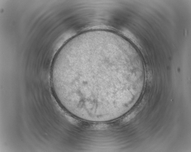 X0000078231282200611171424