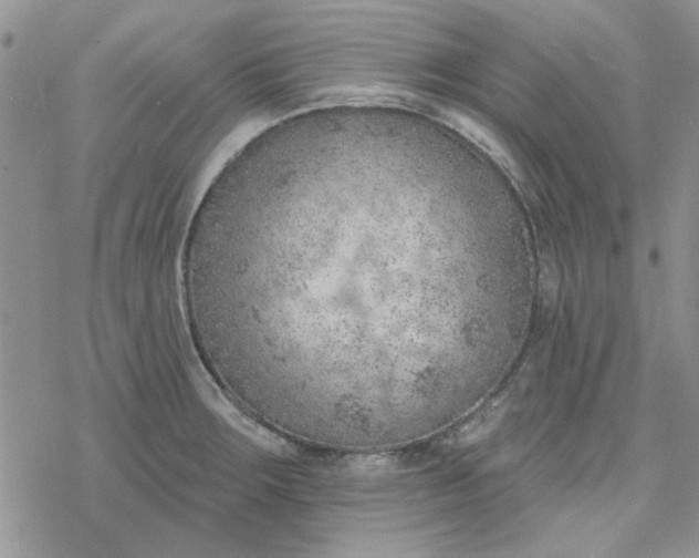 X0000078231283200611171424