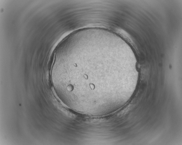 X0000078231284200611171424