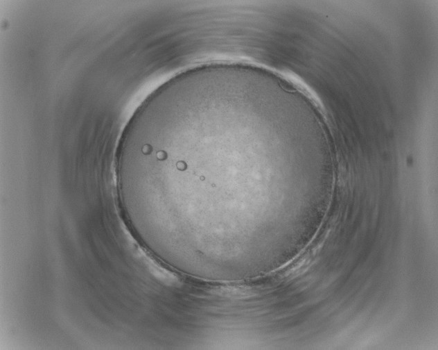 X0000078231287200611171424