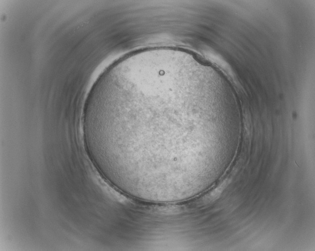 X0000078231288200611171424