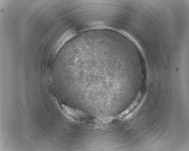 X0000078231289200611171424