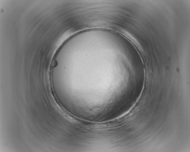 X0000078231291200611171424