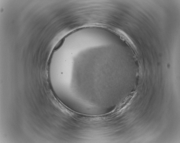 X0000078231292200611171424