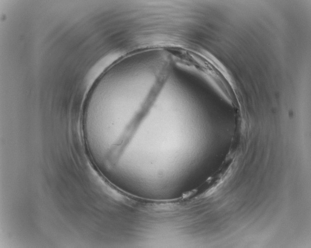 X0000078231293200611171424