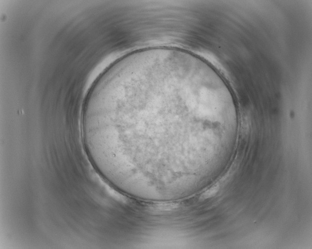 X0000078231294200611171424