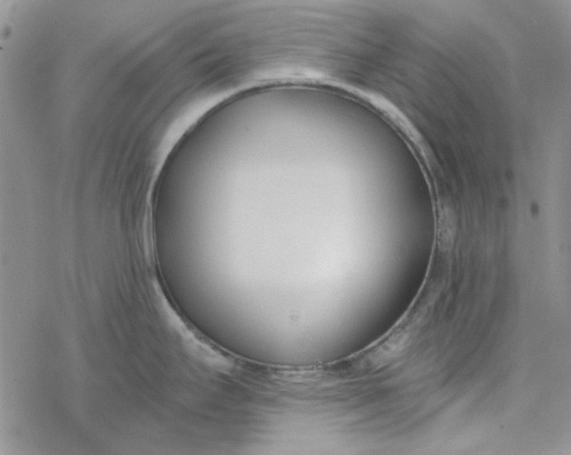 X0000078231295200611171424