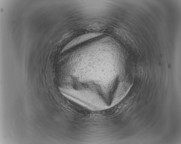 X0000078231297200611171423