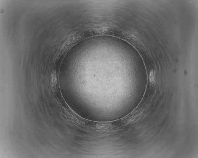 X0000078231299200611171423