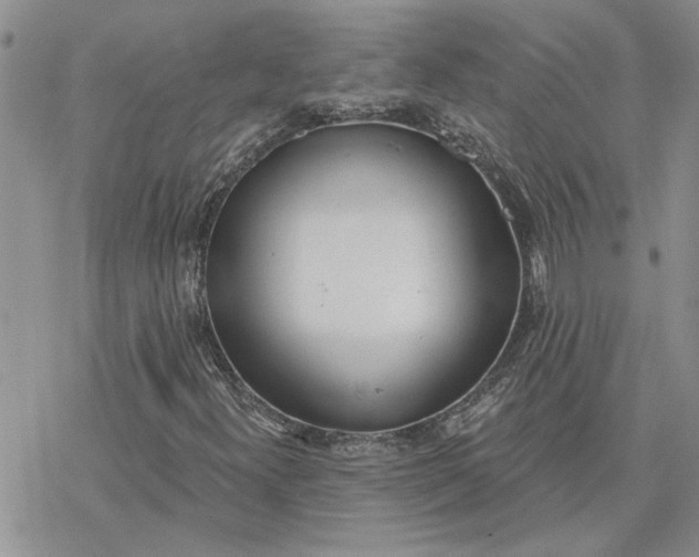 X0000078231300200611171423