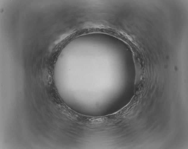 X0000078231303200611171423