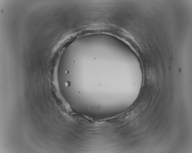 X0000078231304200611171423