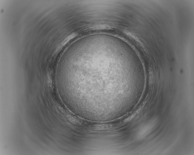 X0000078231305200611171423