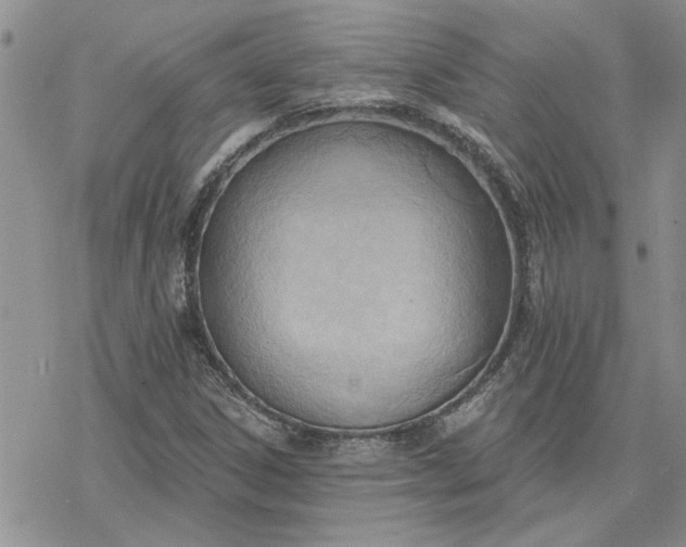 X0000078231306200611171423