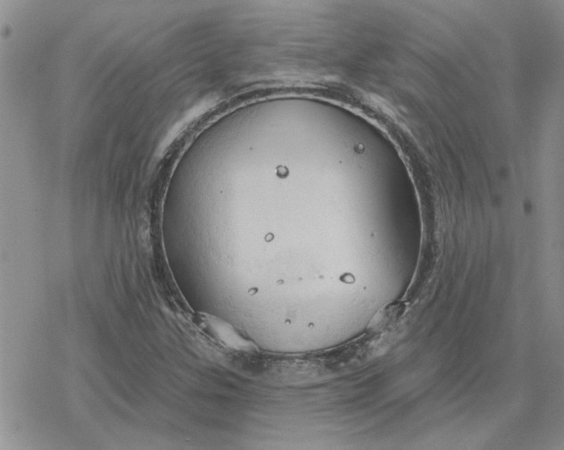 X0000078231307200611171424