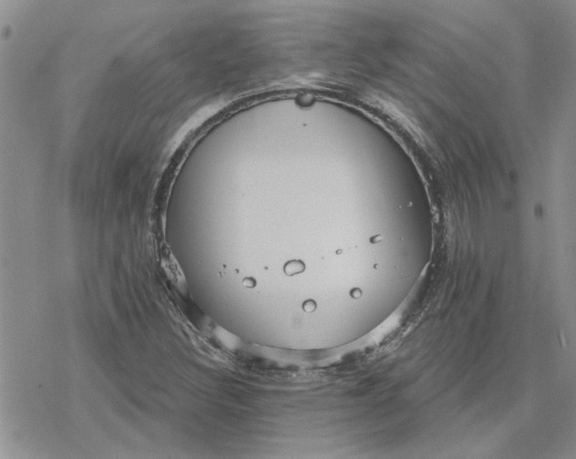 X0000078231308200611171424