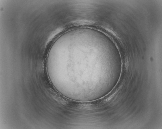 X0000078231309200611171424