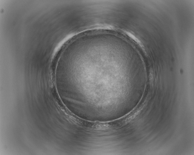 X0000078231310200611171424