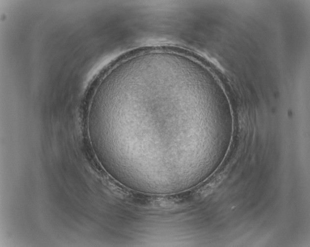 X0000078231311200611171424