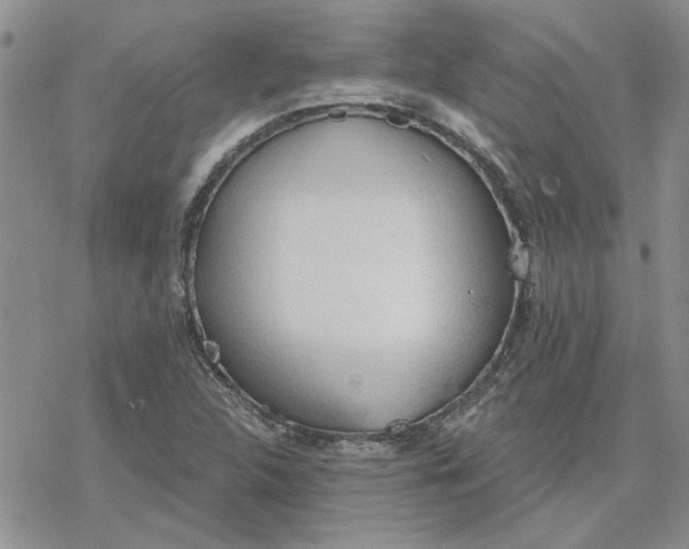 X0000078231312200611171424