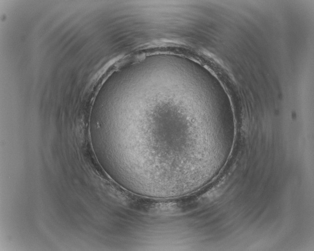 X0000078231313200611171424