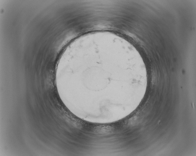 X0000078231314200611171424