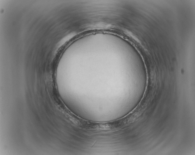 X0000078231315200611171424