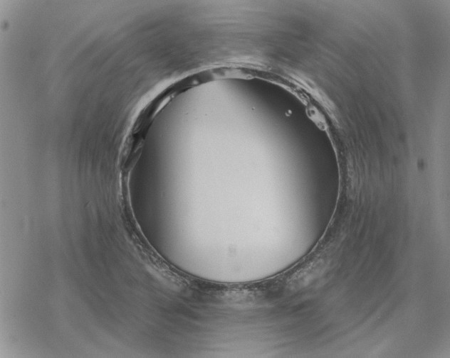 X0000078231316200611171424