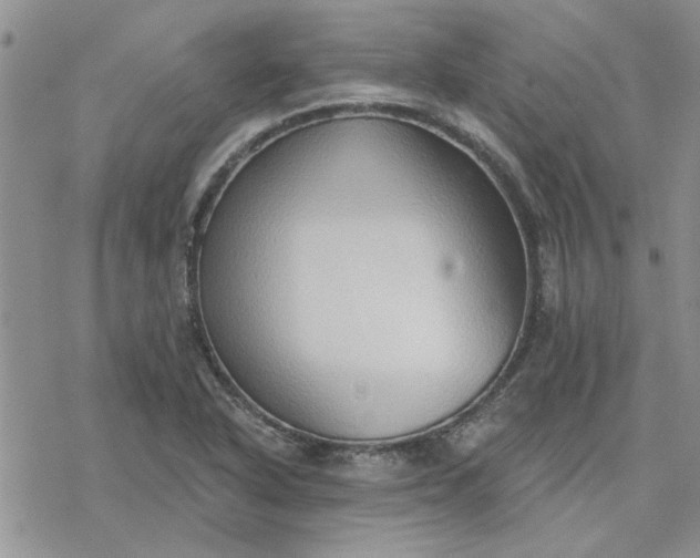 X0000078231318200611171424