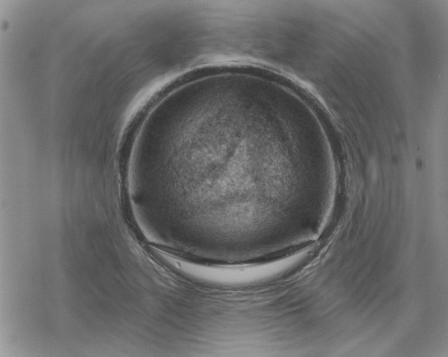 X0000078231319200611171424