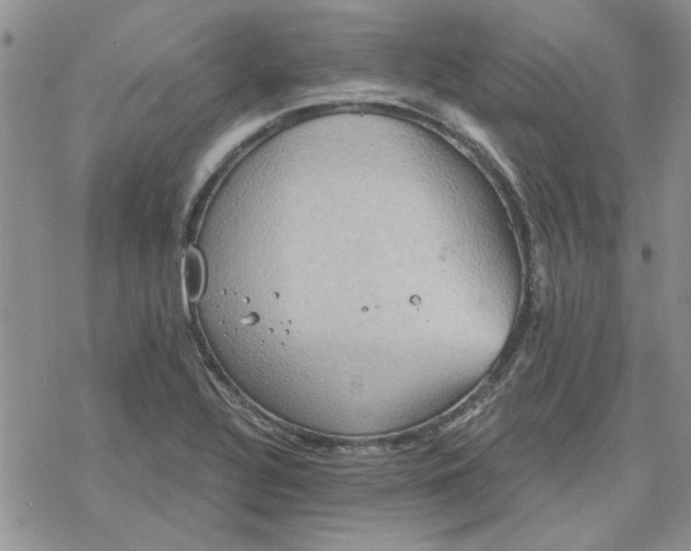 X0000078231320200611171424