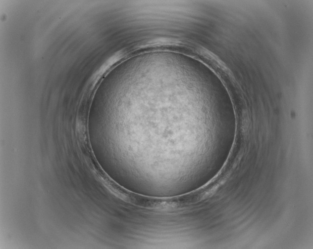 X0000078231321200611171424